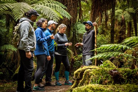 kohutapu lodge and tribal tours